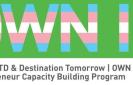 Logo that says Own it, with the transgender flag colors overlaid on the text. Reads: NGLCC, TD, & Destination Tomorrow | Own IT TGX Entrepreneur Capacity Building Program